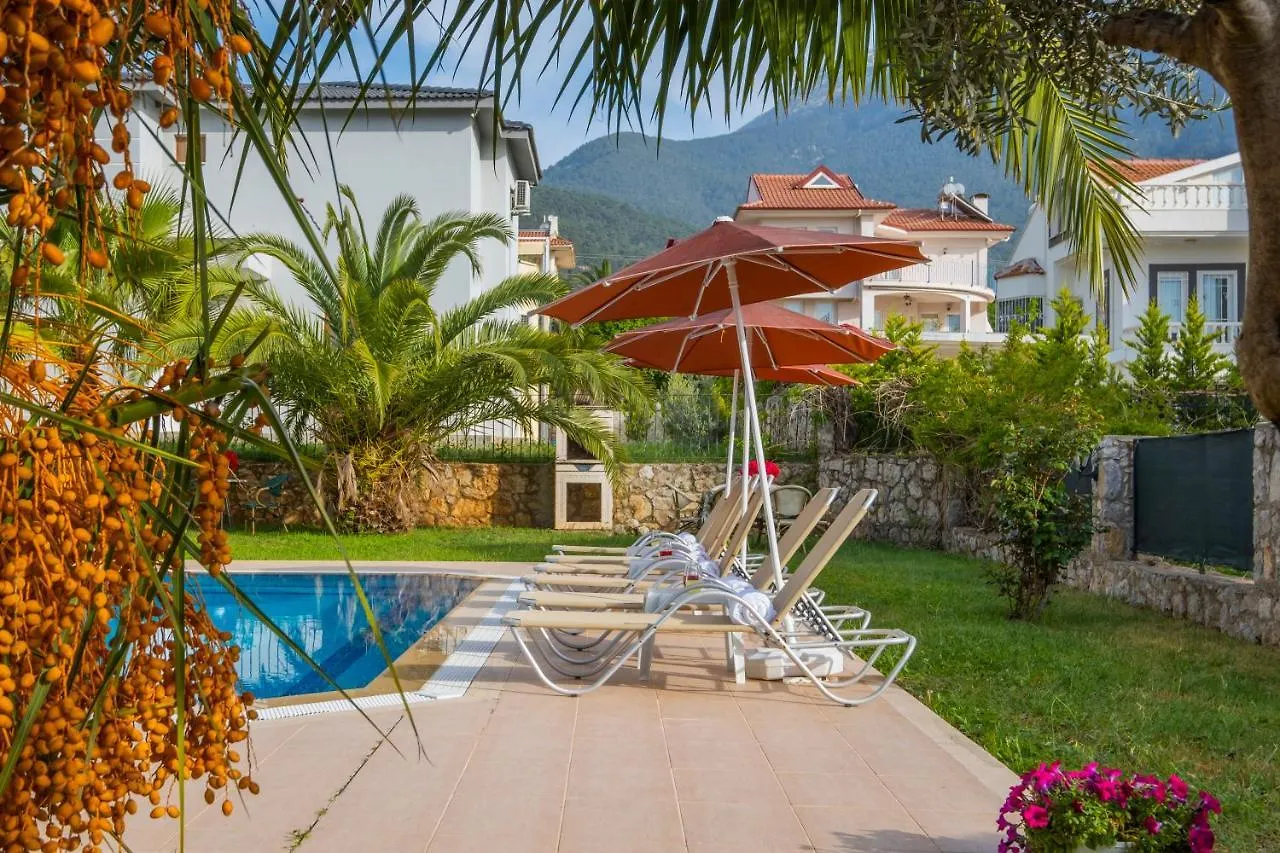 Infinity Civan Villa Fethiye 0*,